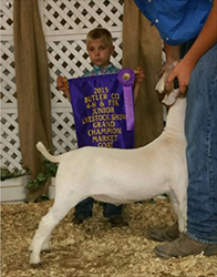 Winners
